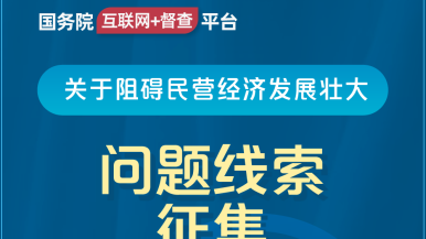 美女大鸡吧国务院“互联网+督查”平台公开征集阻碍民营经济发展壮大问题线索